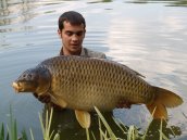 Jack Henderson with a MASSIVE common
