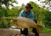 Dave the Bailiff with a MINT common